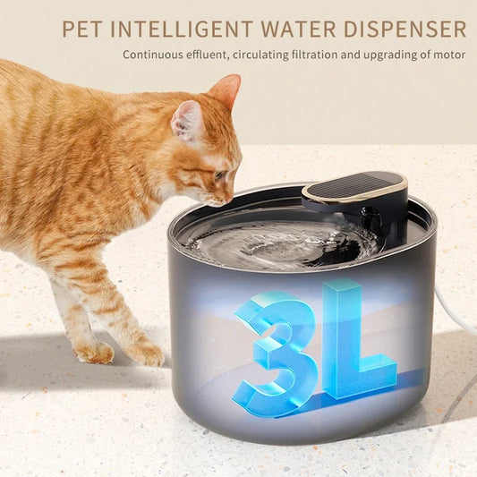 Fontaine à eau automatique pour chat domestique