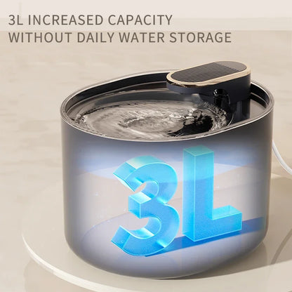 Fontaine à eau automatique pour chat domestique