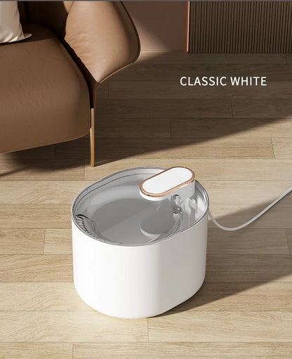 Fontaine à eau automatique pour chat domestique