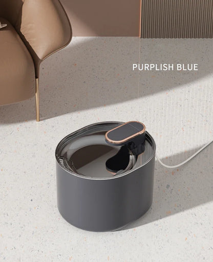 Fontaine à eau automatique pour chat domestique