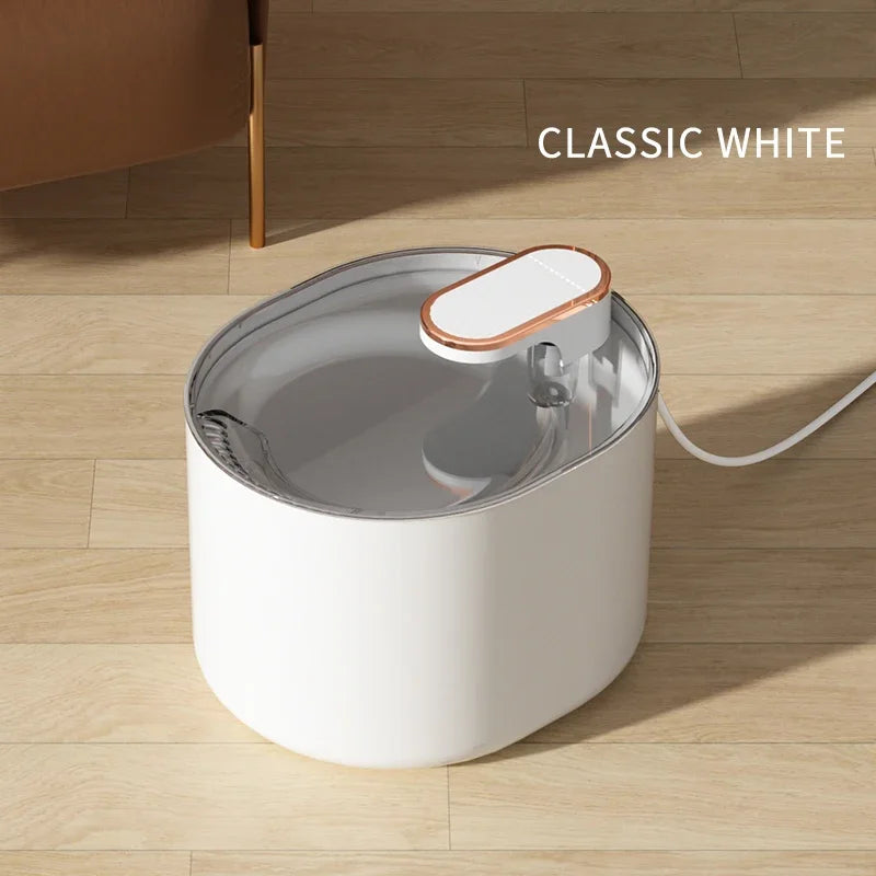 Fontaine à eau automatique pour chat domestique