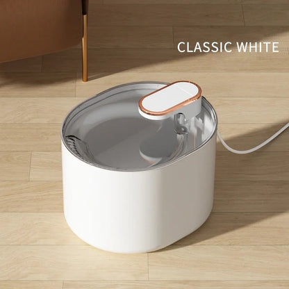 Fontaine à eau automatique pour chat domestique