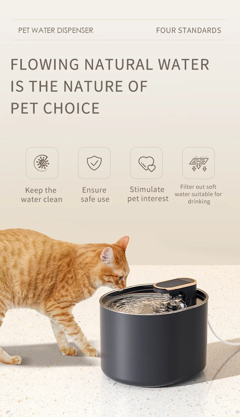 Fontaine à eau automatique pour chat domestique