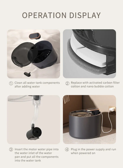 Fontaine à eau automatique pour chat domestique
