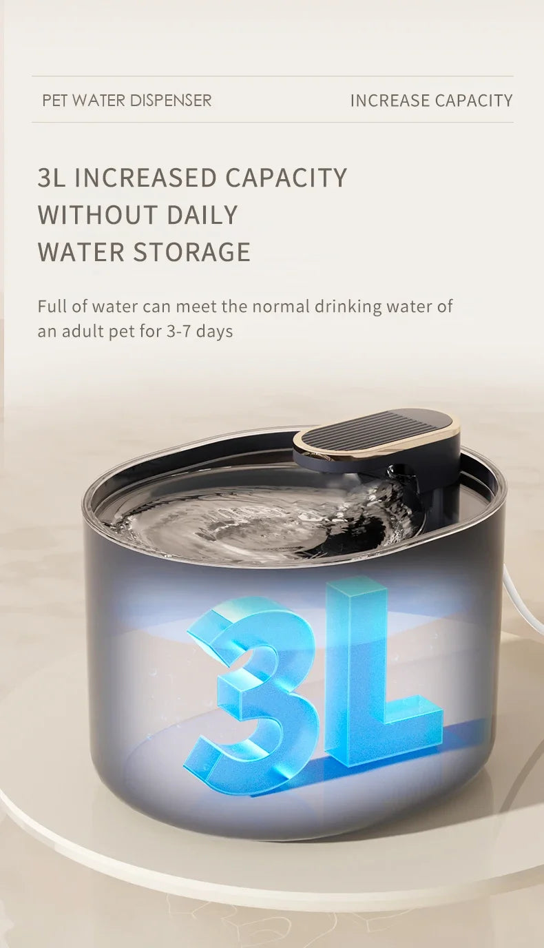 Fontaine à eau automatique pour chat domestique