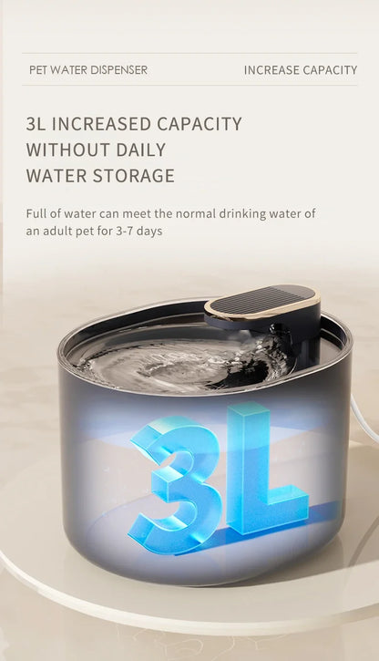 Fontaine à eau automatique pour chat domestique